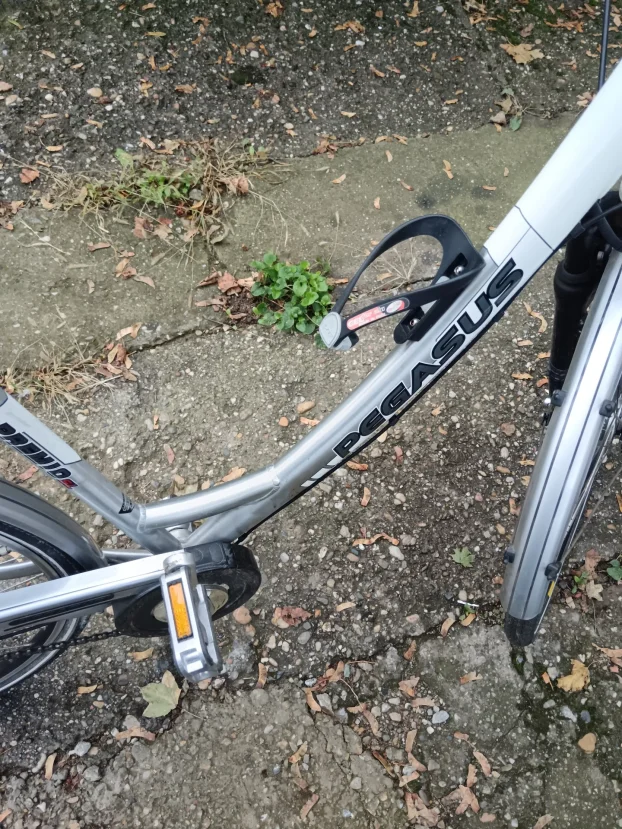Pegasus premium SL