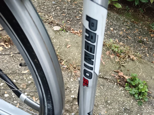 Pegasus premium SL