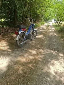 Tomos