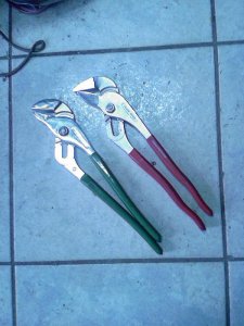 kvalitetna kljesta papagajke