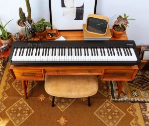 Roland FP 30x