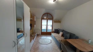 Cara Dušana 55, Cara Dušana, 0.5 garsonjera, 25 m²