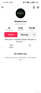 Tiktok Profil