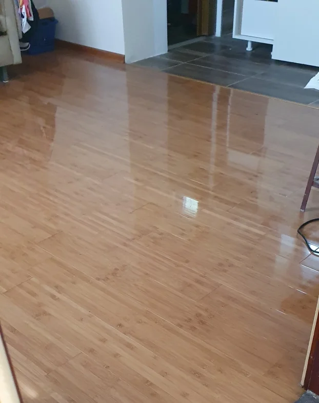 Kragujevac, Stanovo, 4.0 četvorosobna, 220 m²