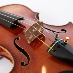 Violina Gibaloff Heifetz Guarnerius Del Gesu 1740