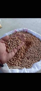 Stočni Grašak Semenski Lična Dostava