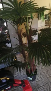 Palma,Drvena gradja,etno,vintage,obradjena grede