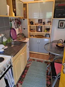 Kraljevo, Žiča, 1.0 jednosobna, 40 m²