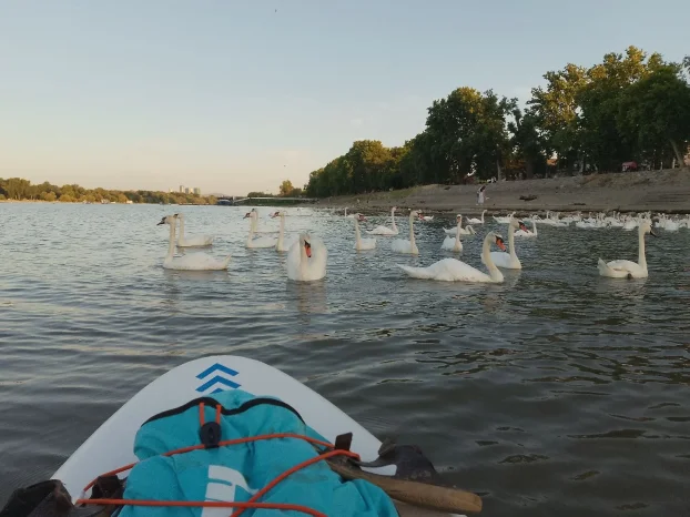 Sup daske / iznajmljivanje