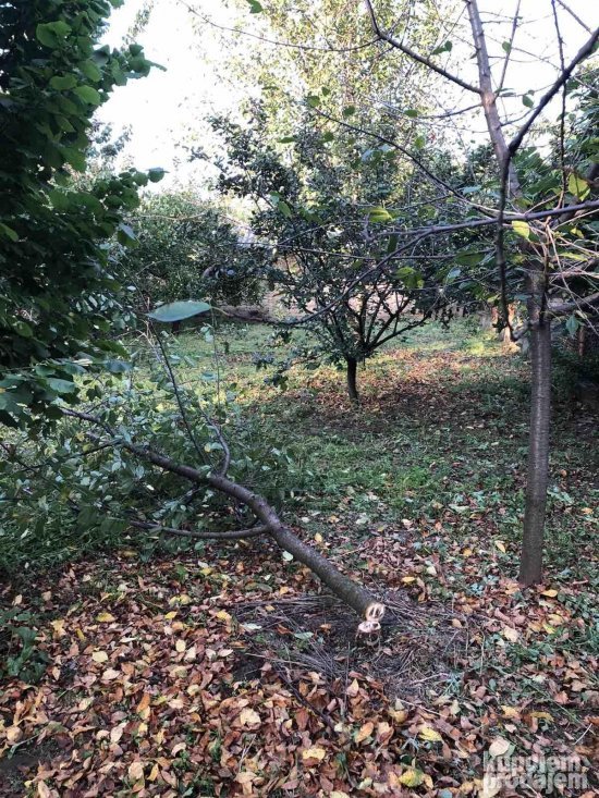 Glava za trimere s lancem