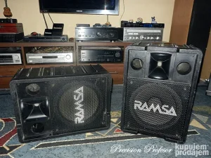 Ramsa 12" / 2