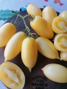 Cream Sausage (Beli, duguljasti pelat paradajz)-seme