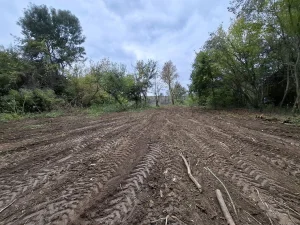 Plac vrbljak u Progaru na reci Sava 34a 1/1 Na Savi