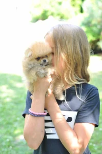 Pomeranci Boo