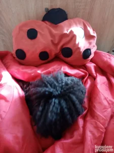 cuvanje kucnih ljubimaca