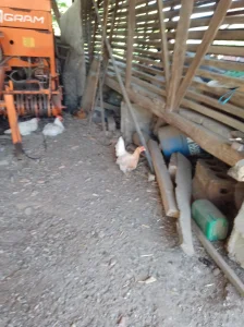 Sitne životinje