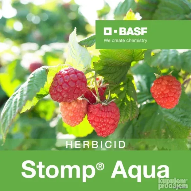 BASF Stomp aqua 1 l