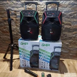 Karaoke zvučnik sa bežičnim mikrofonom blutut 3200w