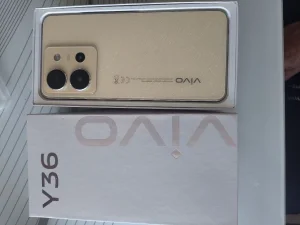 Vivo y36