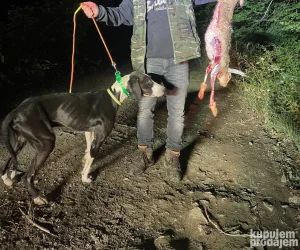 Ker za sitnu divljac