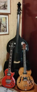 Formiranje Rockabilly ili Surf Rock benda