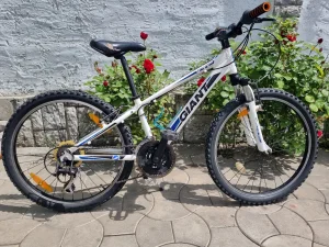 Giant 24