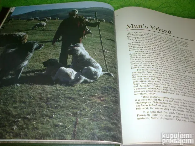 ŠARPLANINAC The Yugoslav Sheepdog KupujemProdajem