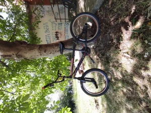 BMX capriolo