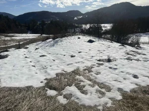 Tara, Zaovine, 4.04 ar