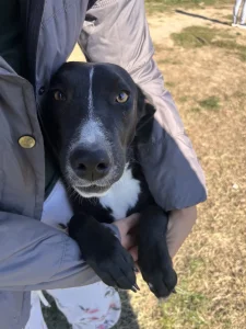 Poklanjamo Megi u Unu