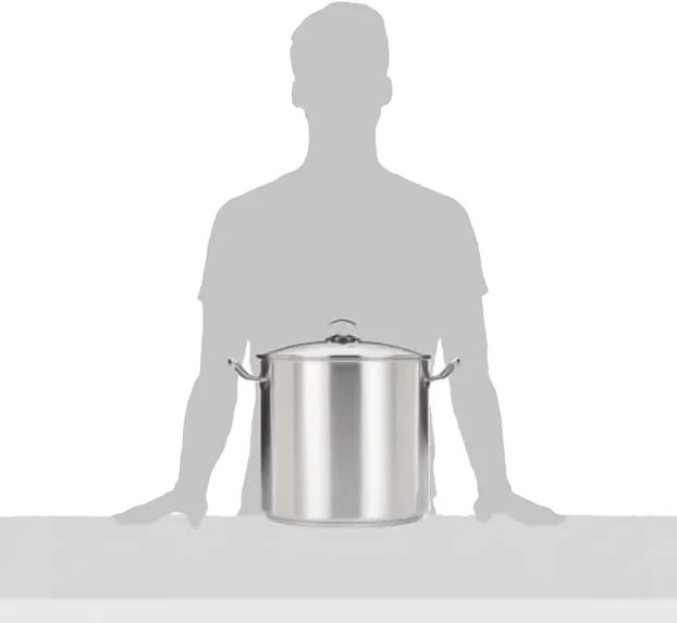 Profesionalna indukciona Serpa/lonac sa poklopcem 20L -GSW