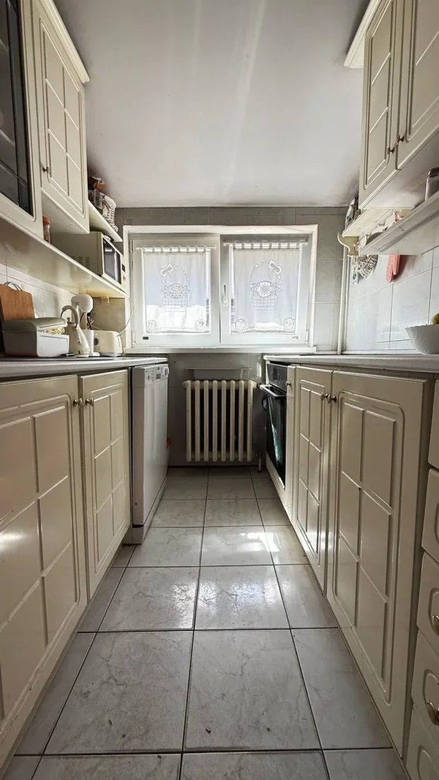 Lukijana Mušickog, Opština Novi Sad, 5+ petosobna, 285 m²