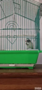 Poklon, Primam na poklon