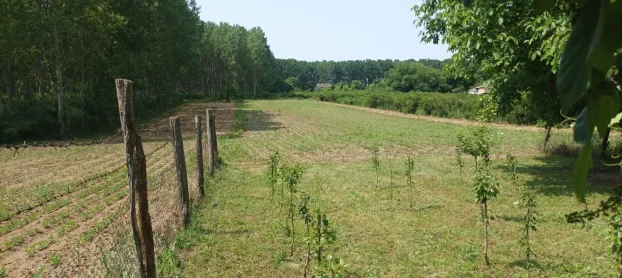 Ruma, Klenak, 1.0 jednosobna, 24 m²