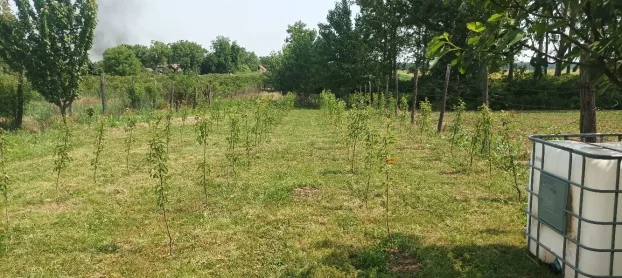 Ruma, Klenak, 1.0 jednosobna, 24 m²