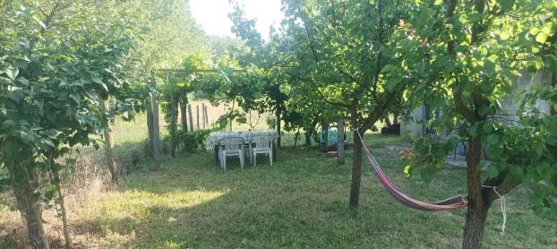 Ruma, Klenak, 1.0 jednosobna, 24 m²