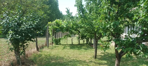 Ruma, Klenak, 1.0 jednosobna, 24 m²