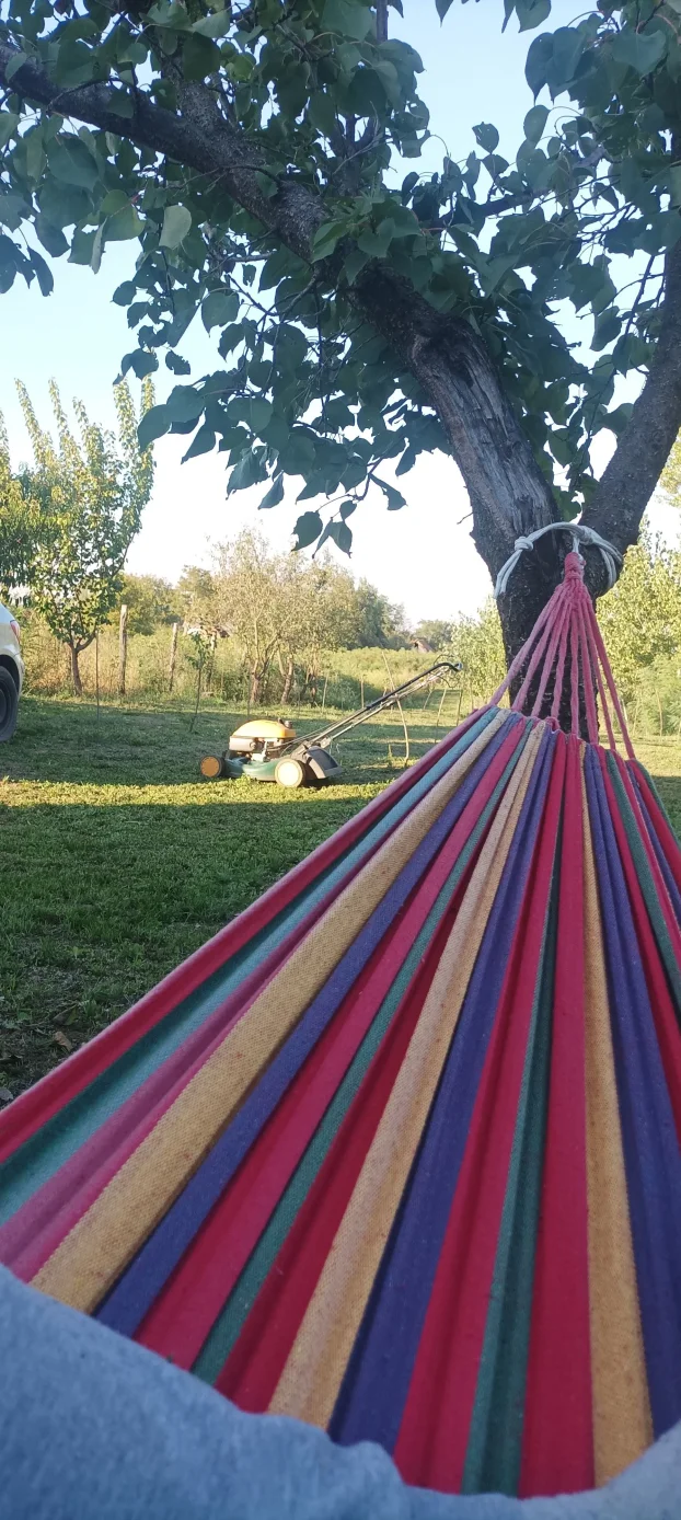 Ruma, Klenak, 1.0 jednosobna, 24 m²