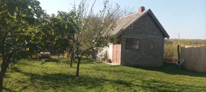 Ruma, Klenak, 1.0 jednosobna, 24 m²