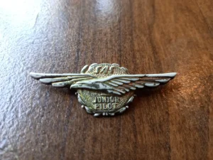 Oznaka sas junior pilot