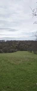 Na prodaju zemljište u selu Branešci 12km od Zlatibora