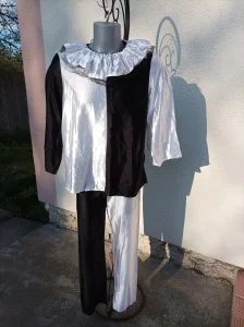 Muški Kostim Klovn/Dvorska Luda S
