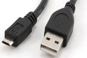 Overnight Ccp Musb2 Ambm 0.5M Overnight Usb 2.0 A Plug To M