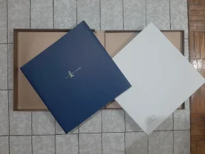 Zlatna knjiga Beograd na vodi (2098)