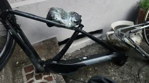 cube reaction 29 FIKSNO