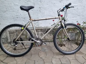 Marin Palisades Trail