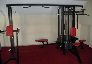 Gladijator 500 kg Br.278