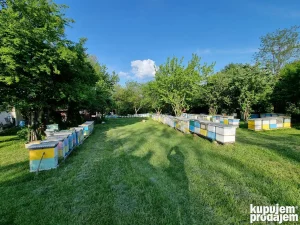 Rezervacija Društva za 2026. g PG Šošić Mala Moštanica