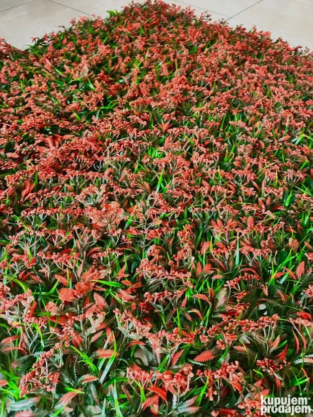 Vestacko cvece (Zeleni zidovi)