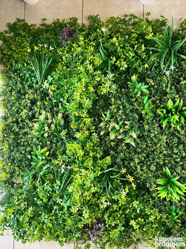 Vestacko cvece (Zeleni zidovi)